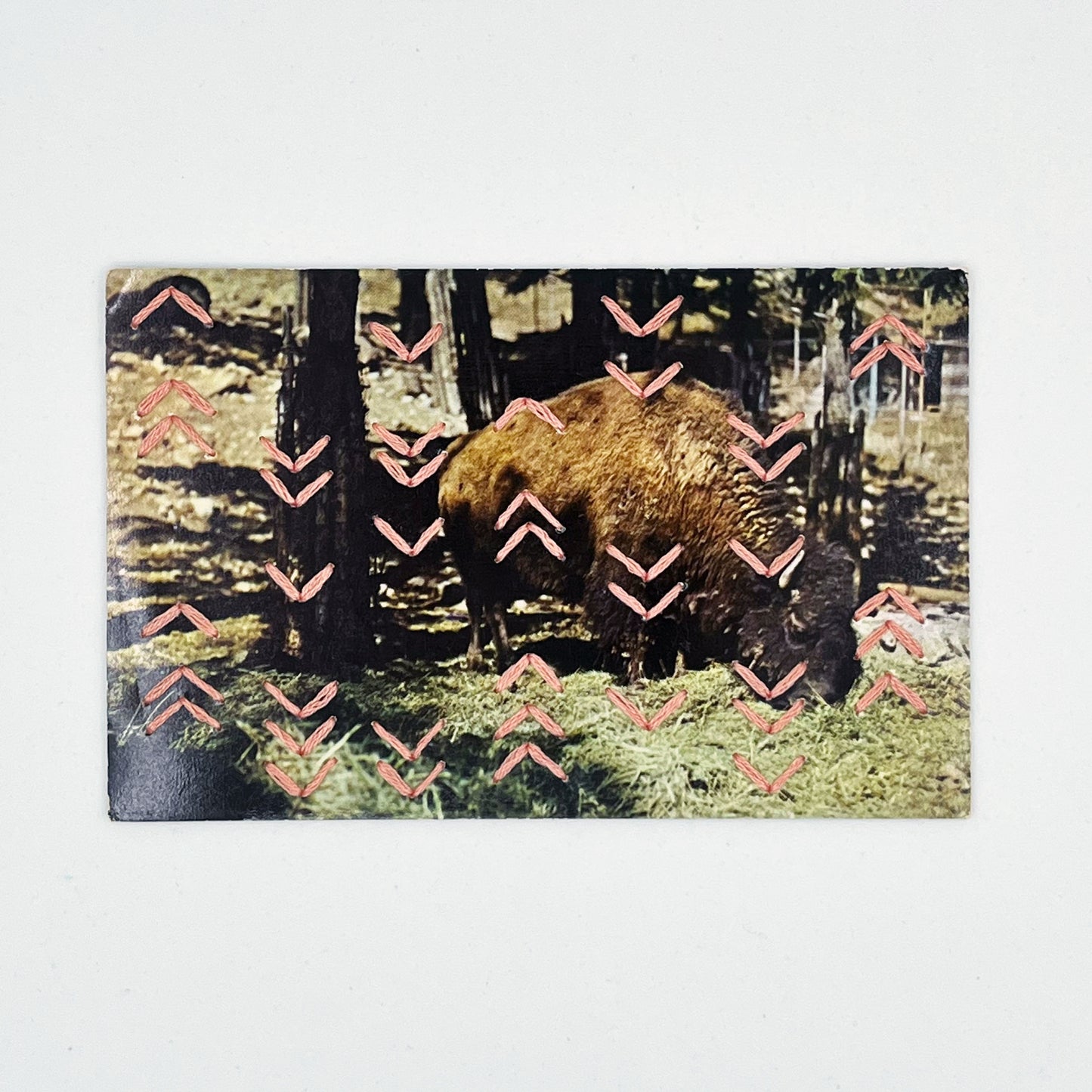 vintage postcard of a buffalo grazing in a forest, with hand stitched rows of small irregularly placed chevrons in peach thread