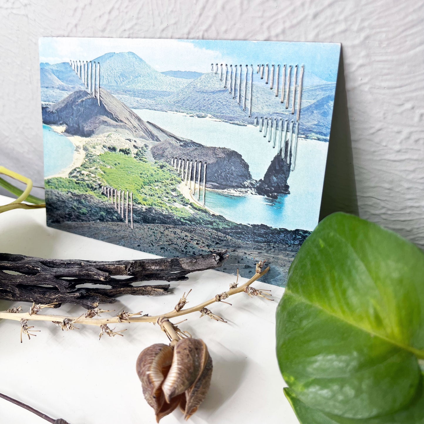 an old postcard of part of Galapagos Ecuador, with hand embroidered triangles randomly placed in pastel greens blues peach and ivory, it is sitting on a dresser with a plant vine behind it and sticks in front of it
