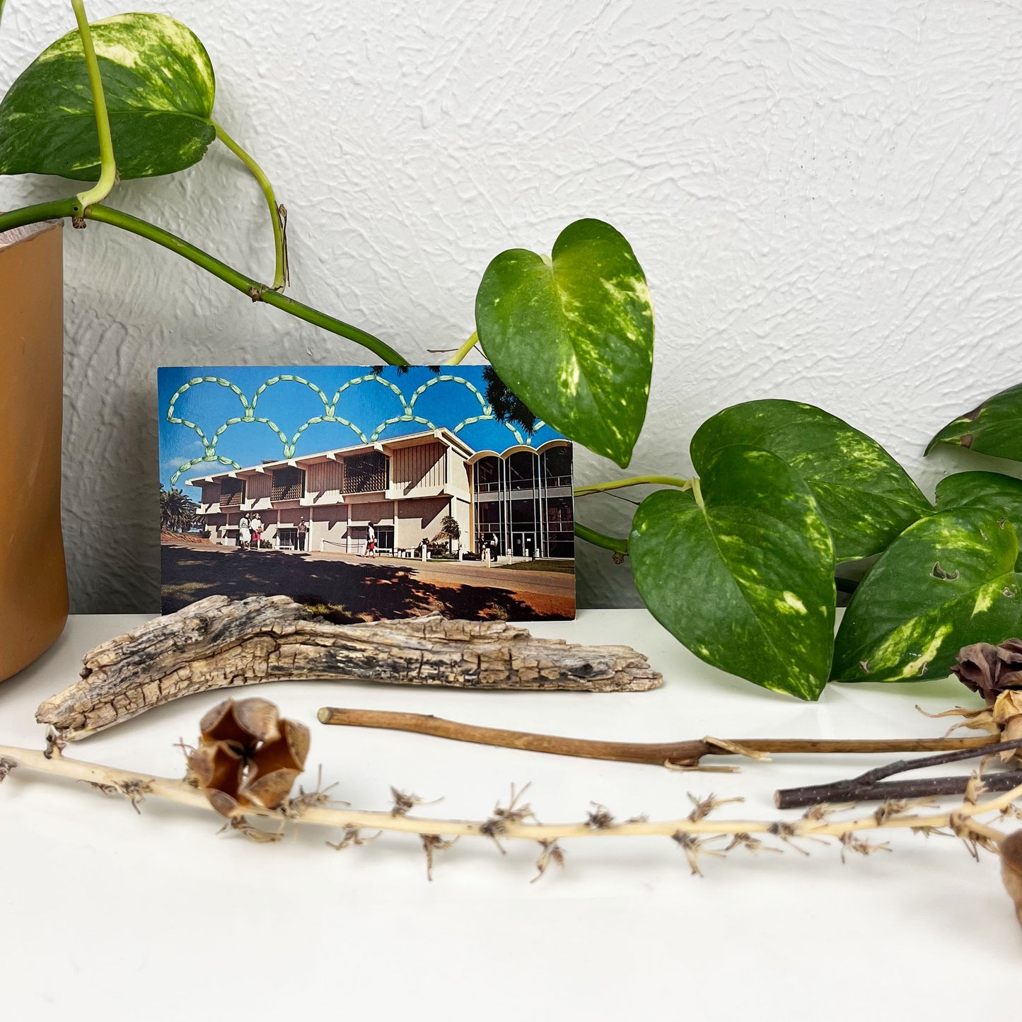 an old postcard of a building at a college in San Diego, with a hand embroidered overlapping circle design like scales in mint green stitched in the background on the sky only, the postcard is sitting on a white dresser with a plant vine behind it and sticks and dried flowers in front of it