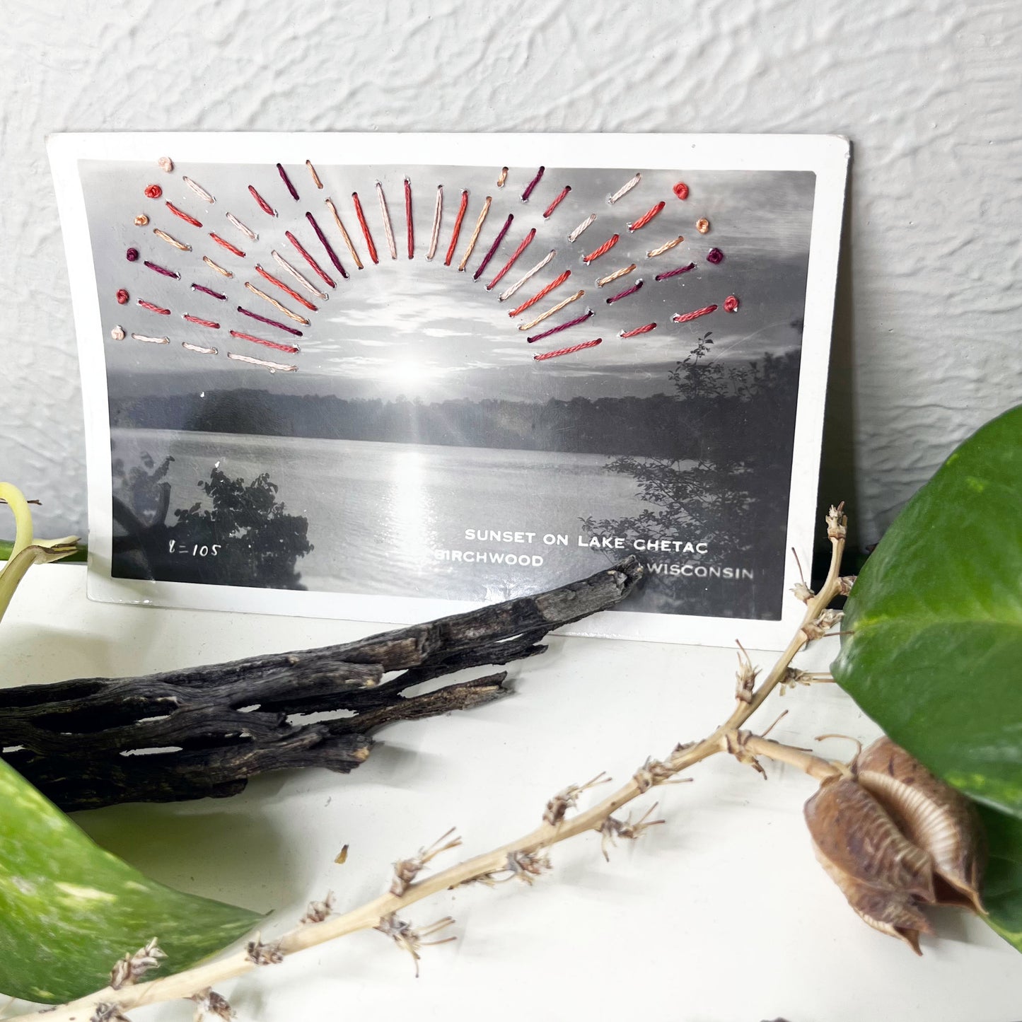 an old postcard of Lake Chetac near Birchwood Wisconsin, with clay peach and plum hand embroidered rays coming off the setting sun, it is sitting on a dresser with a plant vine behind it and sticks in front of it