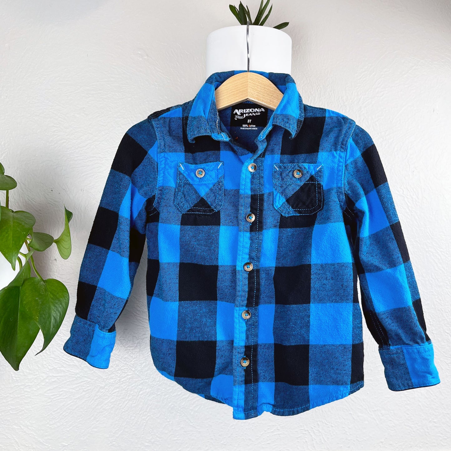 front view of a blue and black plaid flannel hanging on a wall next to a pothos plant