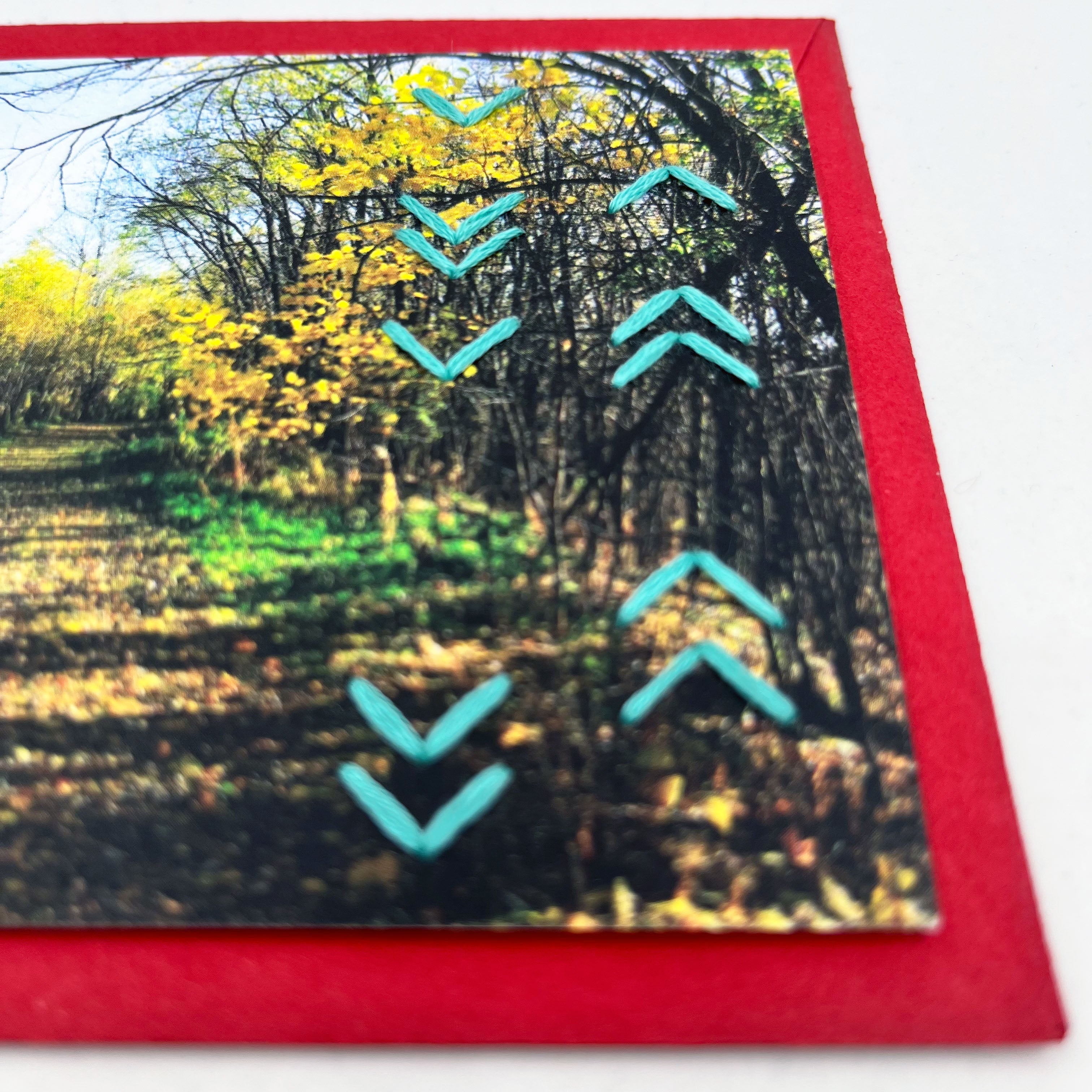 Greeting Card- Fall and Winter Scenes