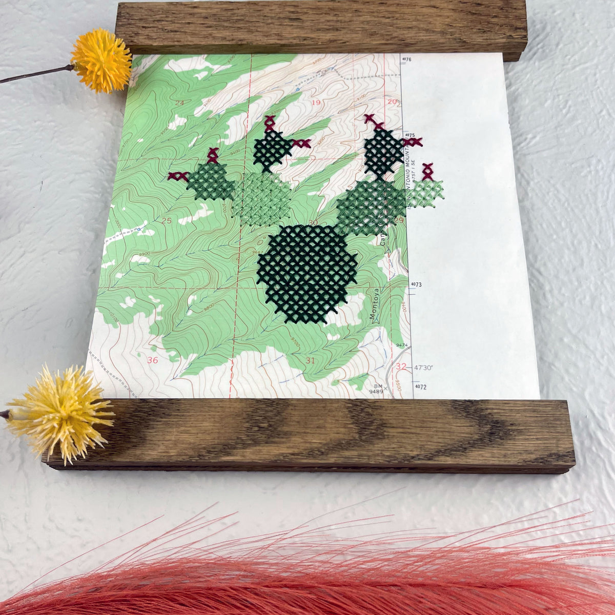 a vintage USGS map of New Mexico cross stitched with a prickly pear cactus, framed on top and bottom with a rustic wood magnetic frame hanging on a grey wall with botanical decorations around it