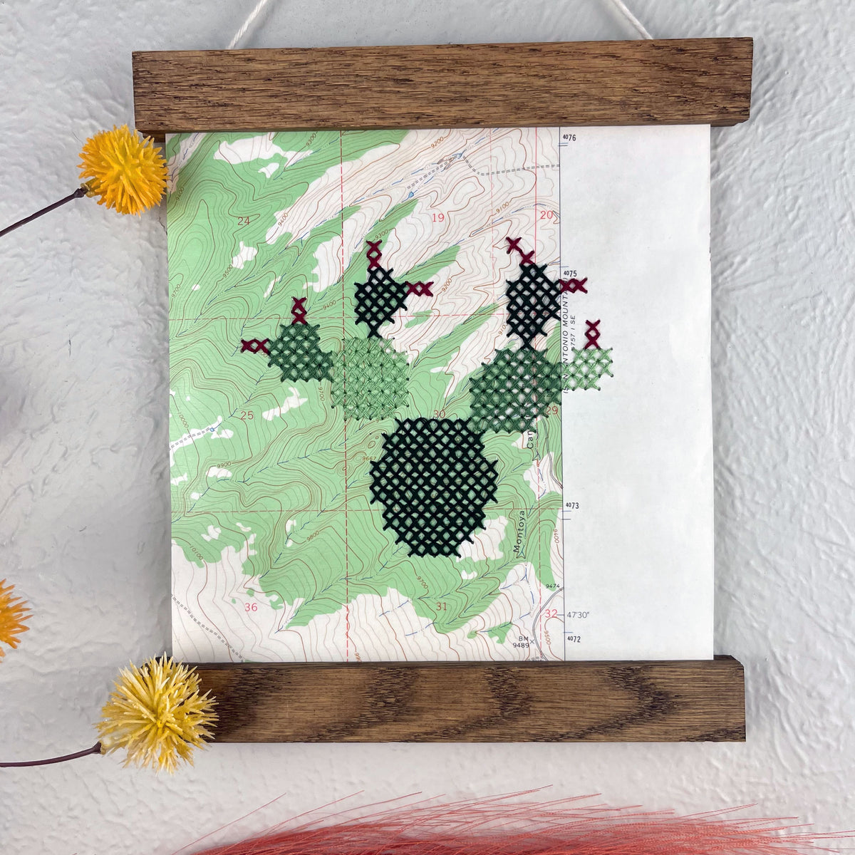 a vintage USGS map of New Mexico cross stitched with a prickly pear cactus, framed on top and bottom with a rustic wood magnetic frame hanging on a grey wall with botanical decorations around it
