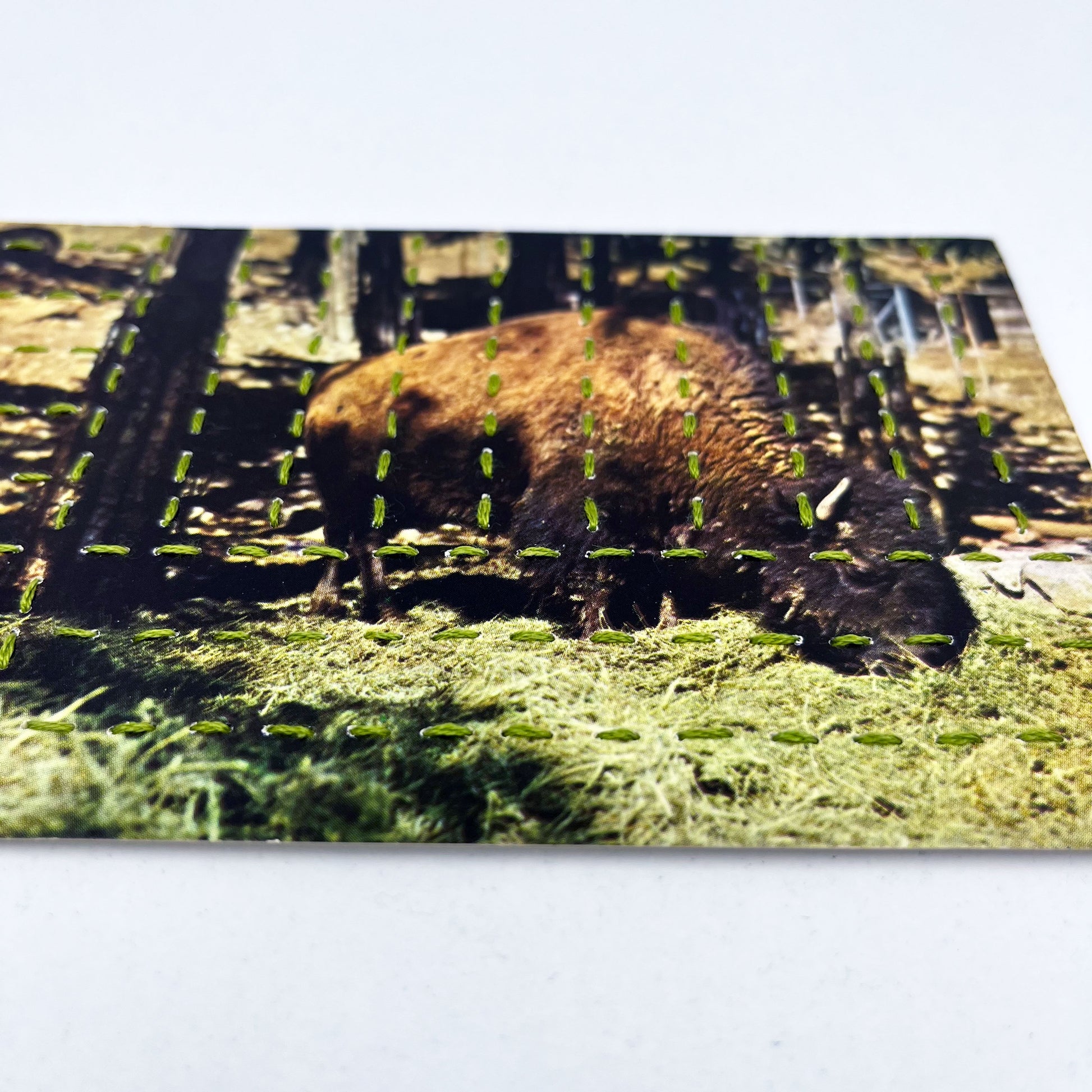 vintage postcard of a buffalo grazing in a forest, hand stitched with pine green thread in a basketweave pattern
