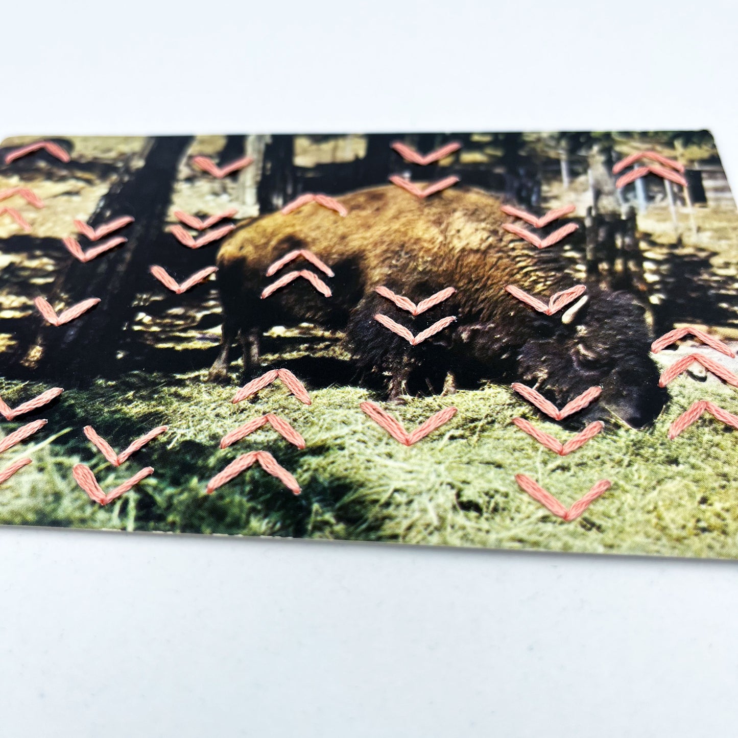 vintage postcard of a buffalo grazing in a forest, with hand stitched rows of small irregularly placed chevrons in peach thread