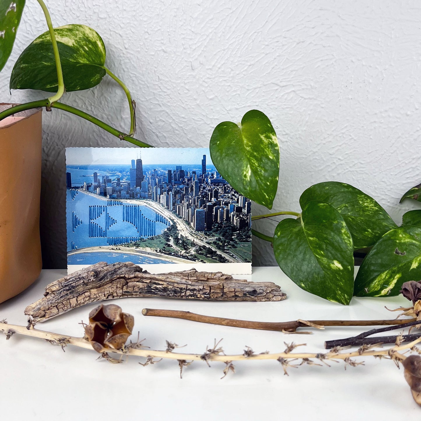 an old postcard of the Chicago skyline along Lake Michigan, with part of the lake hand embroidered over with an abstract partial circle design in blue, the postcard has a plant vine behind it, and twigs on the counter in front of it