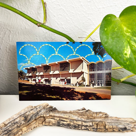 an old postcard of a building at a college in San Diego, with a hand embroidered overlapping circle design like scales in mint green stitched in the background on the sky only, the postcard is sitting on a white dresser with a plant vine behind it and sticks and dried flowers in front of it