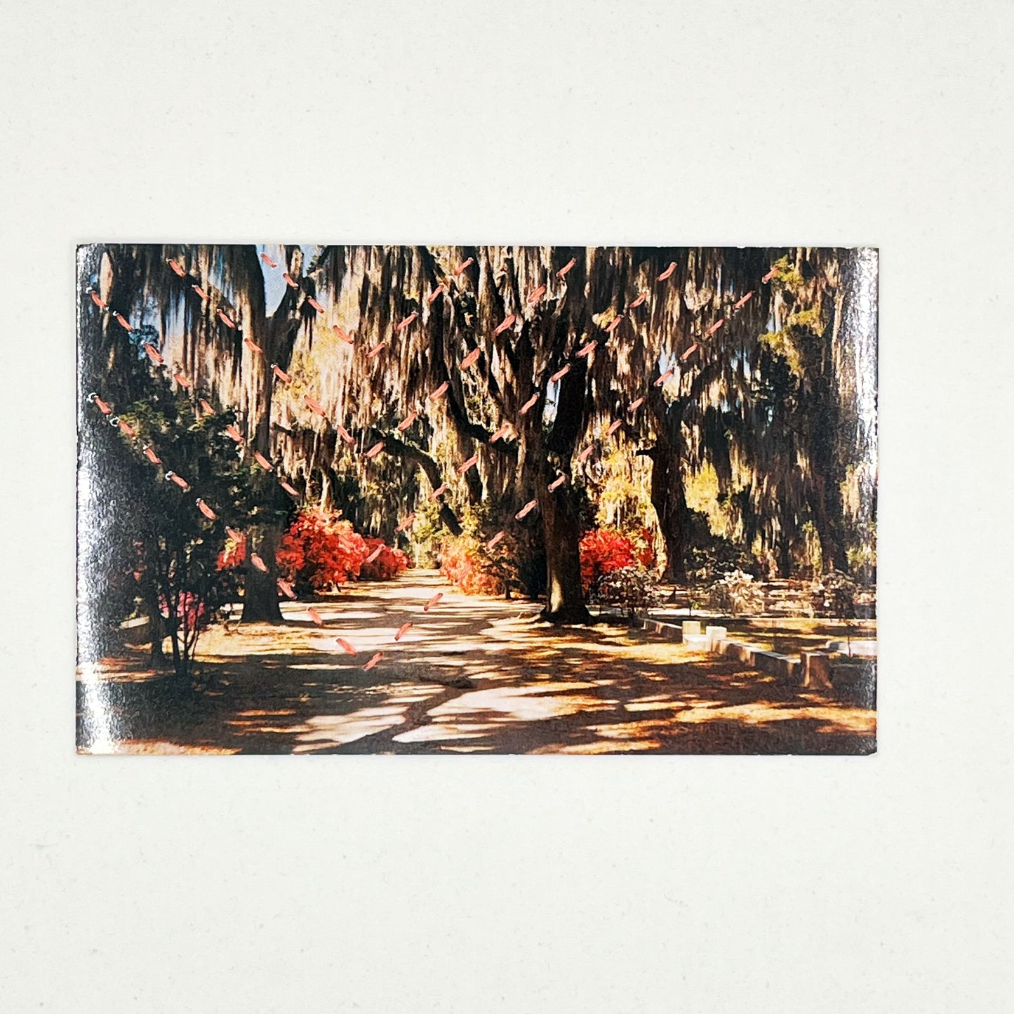 a vintage postcard of moss covered trees in Savannah Georgia, stitched over in 4 chevron lines in peach floss